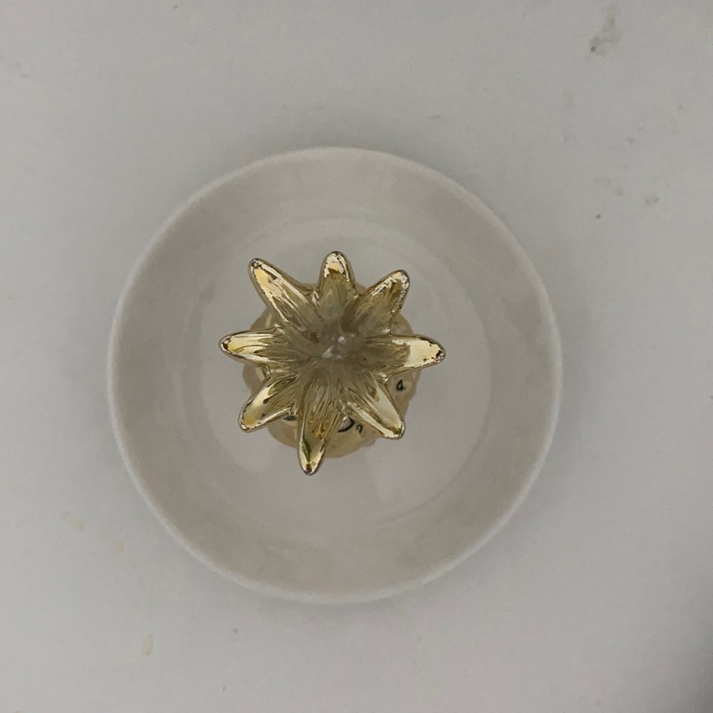 Pineapple jewelry holder